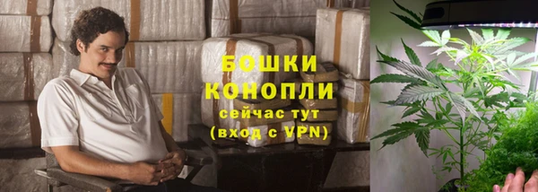 spice Вяземский